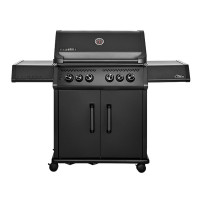 Газовый гриль Start Grill Chimera Elite 4+2